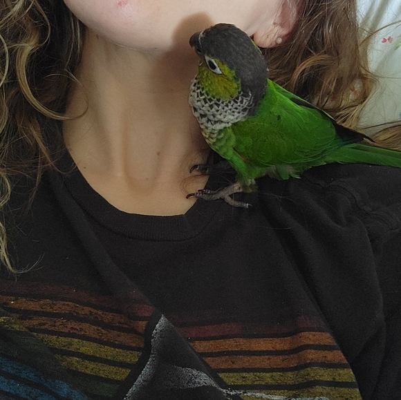 🍃🌌Meet your Posher, Dee♐🍃 - Picture 7 of 11